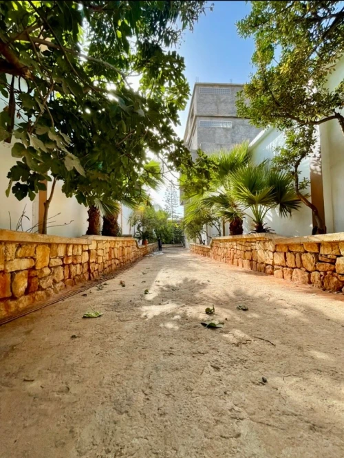 Vente Terrain Tipaza Kolea