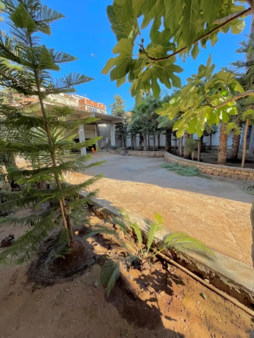 Vente Villa Tipaza Kolea