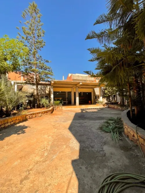 Vente Terrain Tipaza Kolea