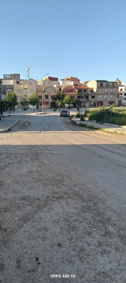 Vente Terrain Tlemcen Mansourah