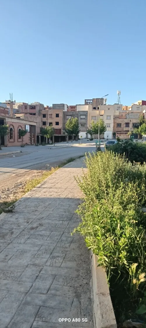 Vente Terrain Tlemcen Mansourah