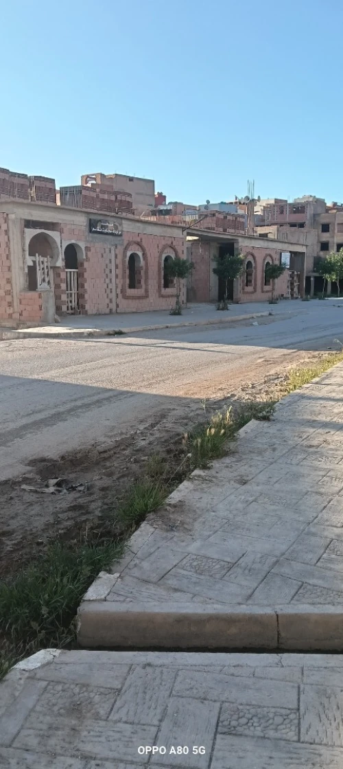 Vente Terrain Tlemcen Mansourah