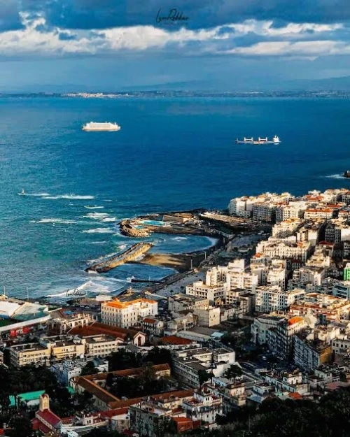 Vente Terrain Alger Bouzareah