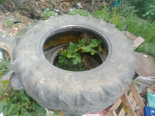 عجلات  تراكتور