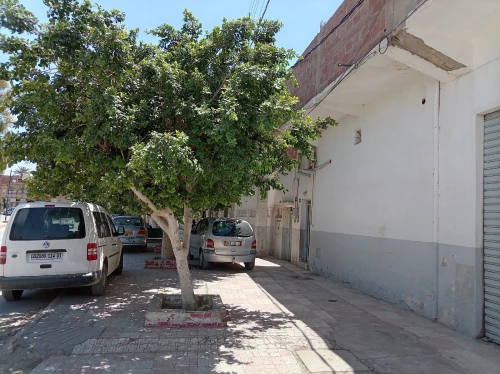 Vente Villa Biskra Tolga