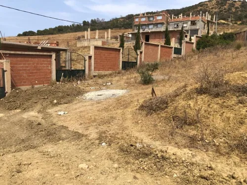 Vente Terrain Boumerdès Zemmouri
