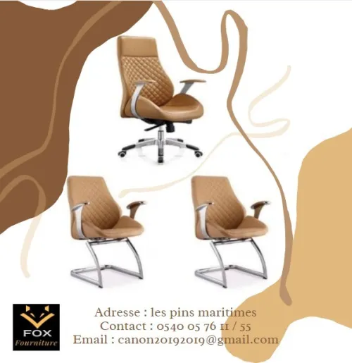 Fauteuil et chaise PDG