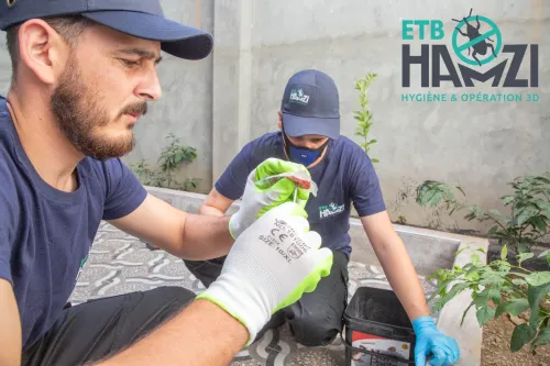 Vente insecticides , raticides, produits d'hygiène et sécurité  