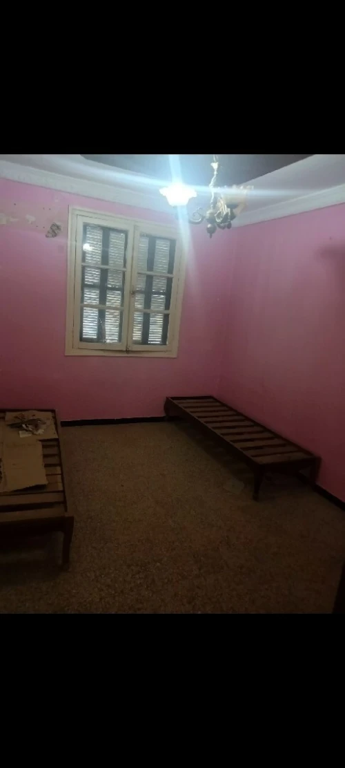 Location Appartement F3 Médéa Medea 5