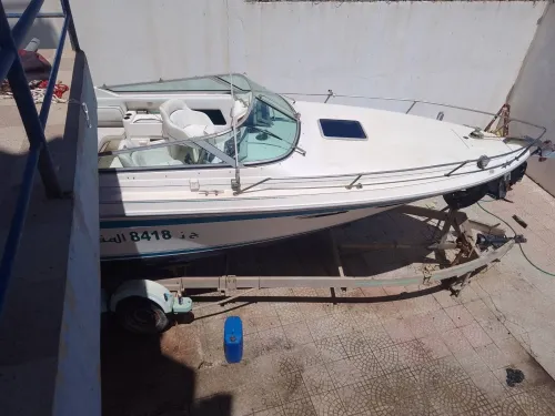 Bayliner Sea ray Sundancer 280SR 1994