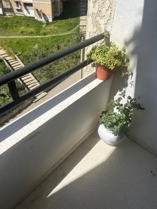 Vente Appartement F4 Béjaïa Bejaia