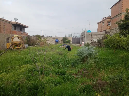 Vente Terrain Blida Ouled selama