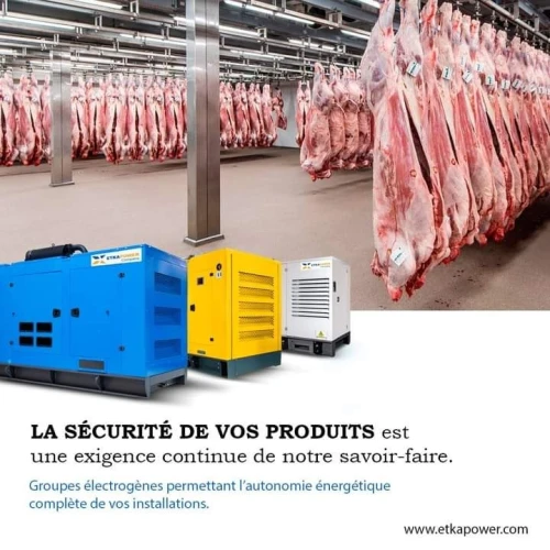 GROUPE ELECTROGENE 30 KVA YANGDONG / EMSA-