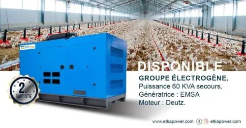 GROUPE ELECTROGENE 60 KVA DEUTZ / EMSA TD" 