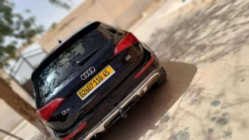 Audi Q5 2010 Off Road Pack Tech
