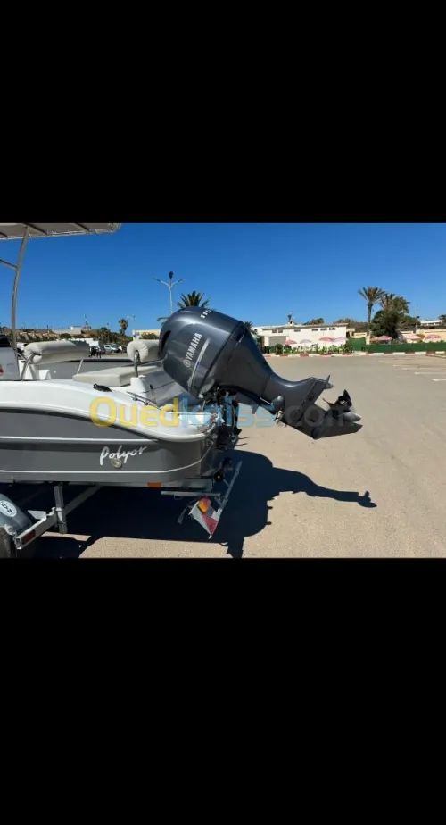 Polyor 550 