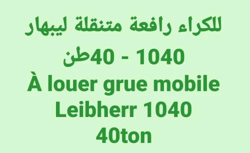 للكراء رافعة متنقلة 40 طن A louer grue mobile 40n