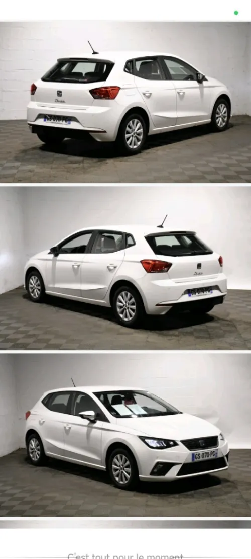 Seat Ibiza 2023 Style
