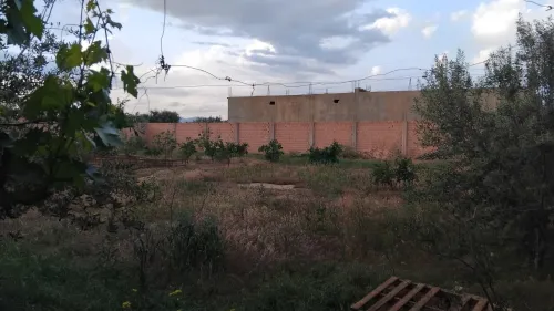 Vente Terrain Aïn Defla Ain defla