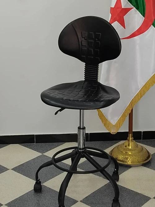 Chaise ergonomique