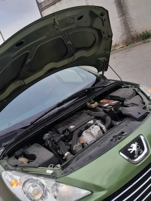 Peugeot 307 2006 Oxygo