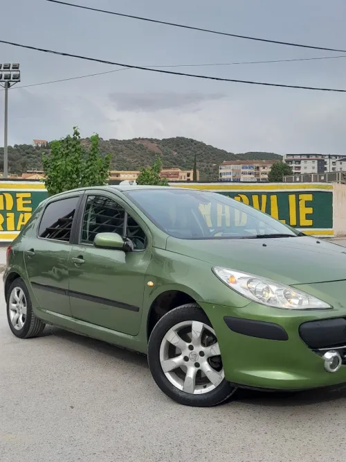 Peugeot 307 2006 Oxygo