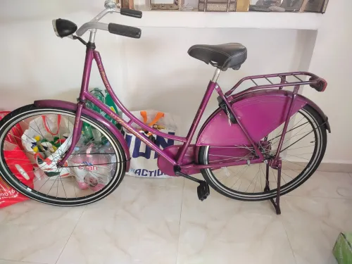 Vélo nostalgie hollandais
