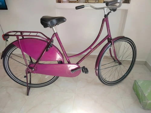 Vélo nostalgie hollandais