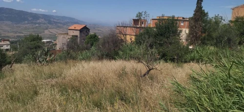 Vente Terrain Tizi Ouzou Azazga