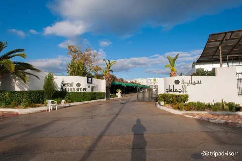 voyage organise hammamat par bus mai 2025 