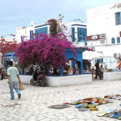 voyage organise djerba 2025