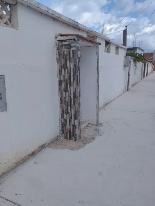 Vente El Tarf Ain el assel