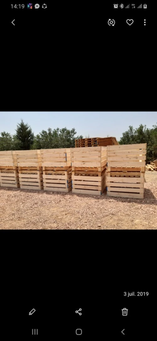 Caisse et palettes en plastique
