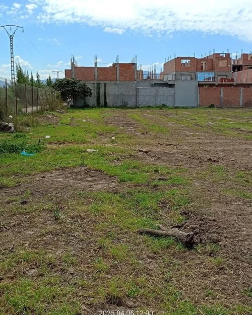 Vente Terrain Alger Sidi moussa