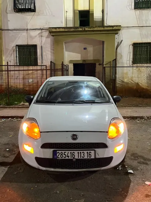 Pinto Pinto 2013 