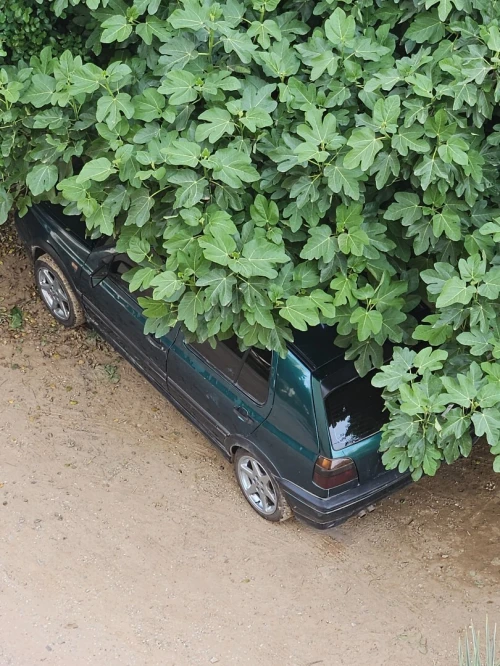 Volkswagen Golf 3 1997 vr6