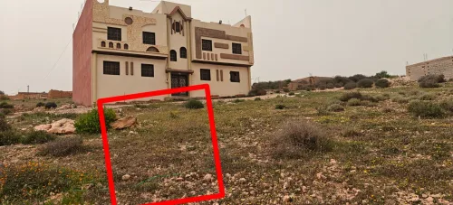 Vente Local Tlemcen Marsa ben mhidi