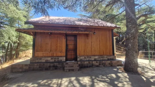 Vente bien immobilier Blida Chrea