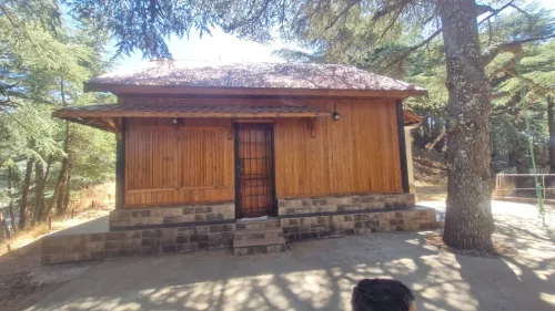 Vente bien immobilier Blida Chrea