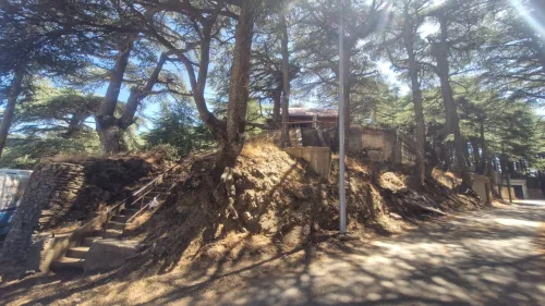 Vente bien immobilier Blida Chrea
