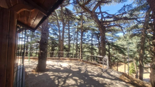Vente bien immobilier Blida Chrea