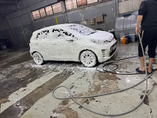 Kia Picanto 2019 EX
