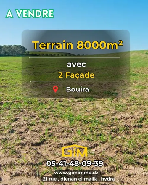 Vente Terrain Bouira Oued el berdi