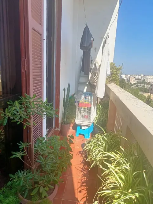 Vente Appartement F3 Alger Hydra