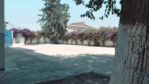 Location Immeuble Alger El achour