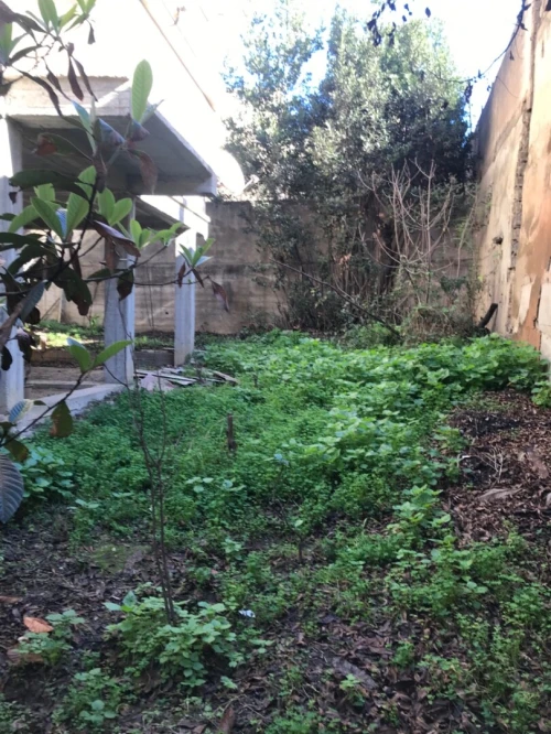 Vente Villa Alger Bouzareah