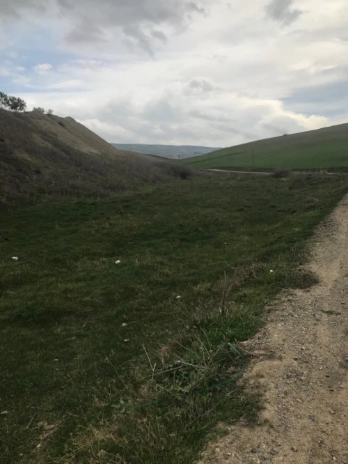 Vente Terrain Agricole Ain defla Hoceinia