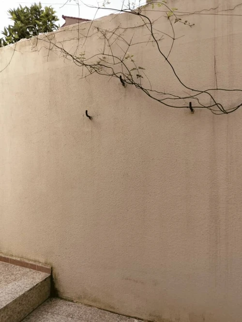 Vente Appartement F2 Alger Bouzareah
