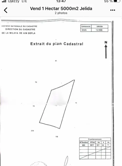 Vente Terrain Agricole Aïn Defla Djelida