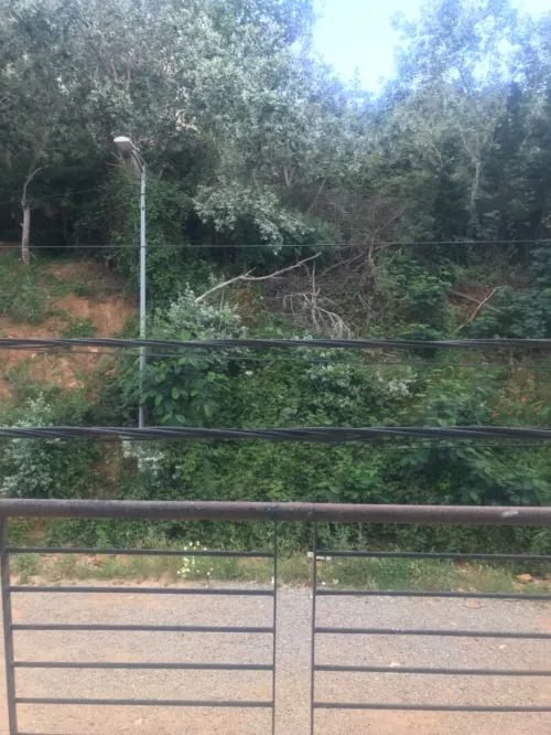 Location Appartement F3 Alger Draria